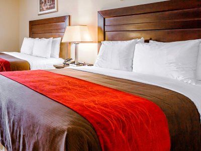 Comfort - Angeles Inn Monterey Park