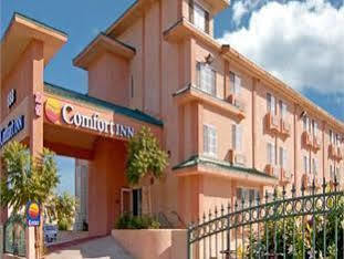 Comfort - Angeles Monterey Park