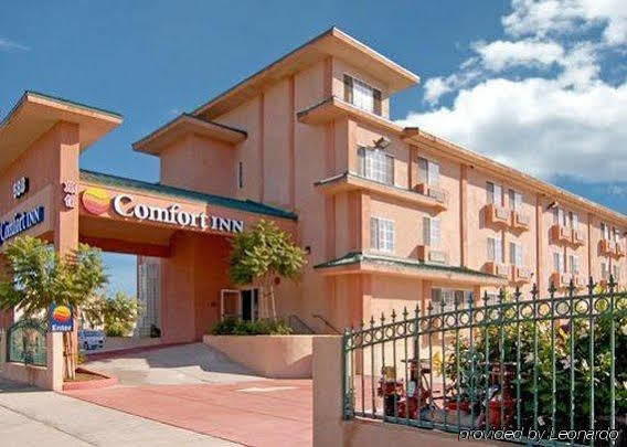 Comfort - Angeles Monterey Park